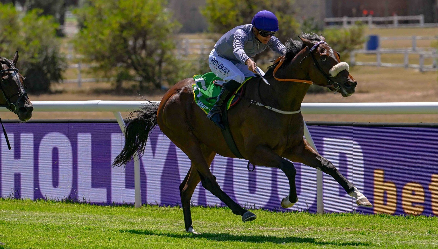 Let It Be Said (Richard Fourie) takes his place in Race 8 (Pic - Chase Liebenberg)
