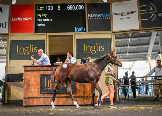 Lot 102 sets new record price (Pic - Inglis)