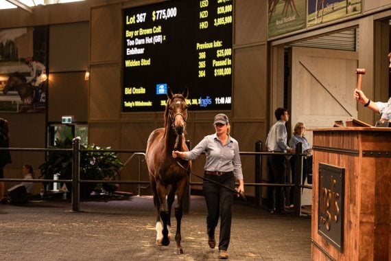 Lot 367 sold for an impressive A$775 000 (Pic - Inglis)