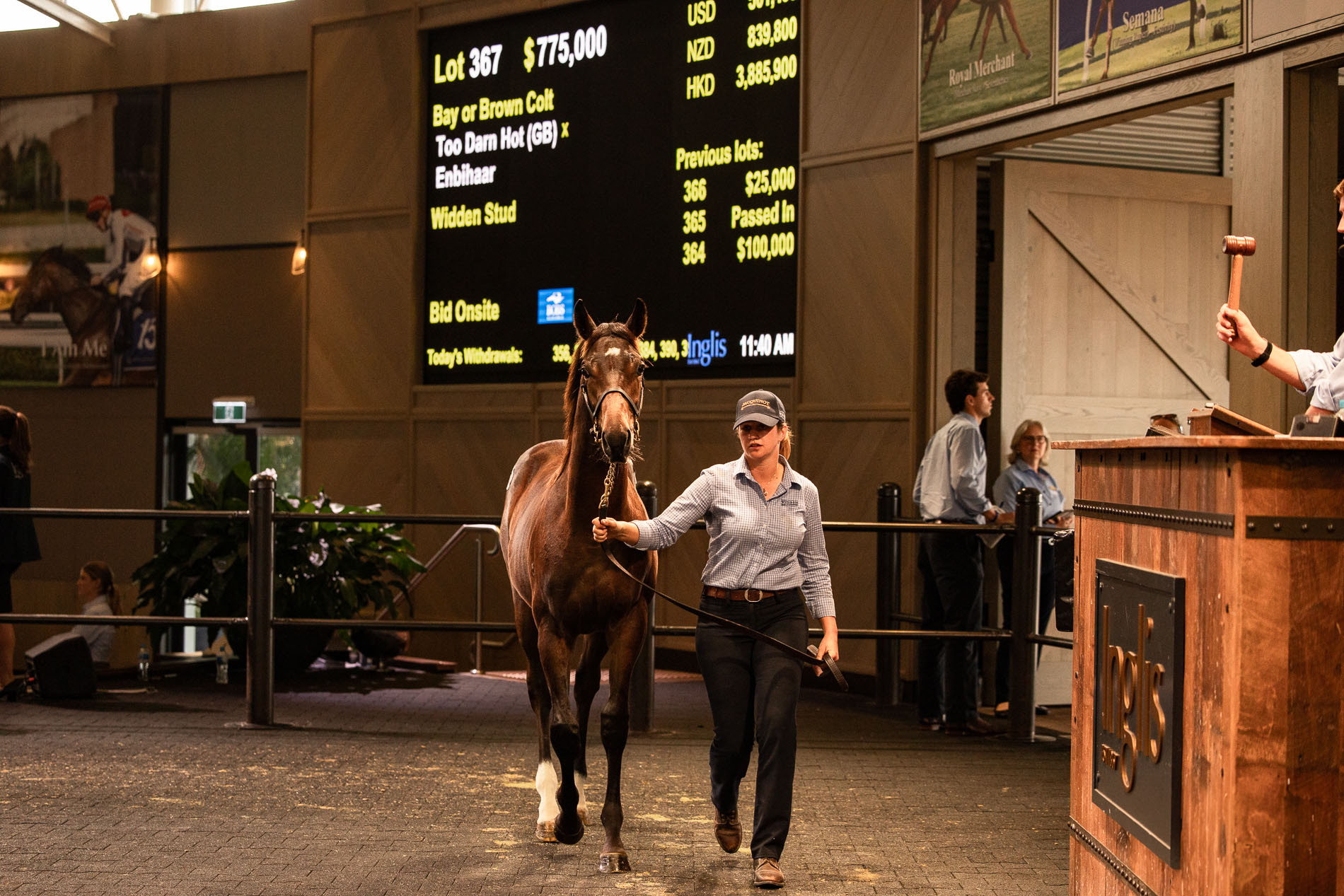 Lot 367 sold for an impressive A$775 000 (Pic - Inglis)
