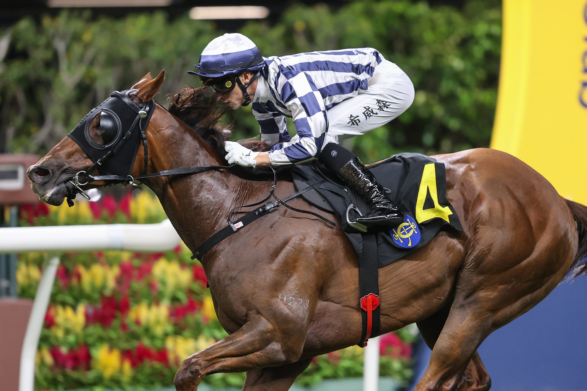 Lyle Hewitson coaxes Seasons Wit to victory (Pic - HKJC)