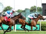Dettori On Target For Gaynor Rupert