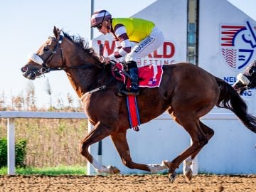 Mercantour (Richard Fourie) wins the Fairview 1400 (Pic - Pauline Herman)