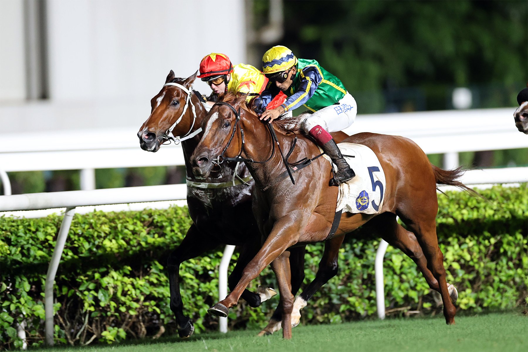 Mugen is a four-time winner from 16 starts in Hong Kong (Pic - HKJC)