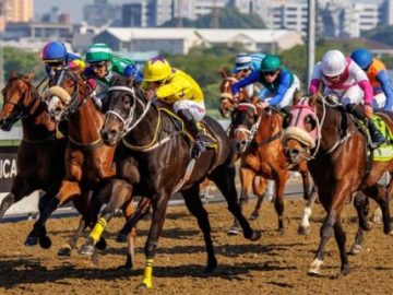 On the poly at Hollywoodbets Greyville (Image for illustration purposes by Candiese Lenferna)
