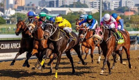 On the poly at Hollywoodbets Greyville (Image for illustration purposes by Candiese Lenferna)
