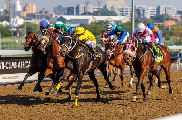 On the poly at Hollywoodbets Greyville (Image for illustration purposes by Candiese Lenferna)