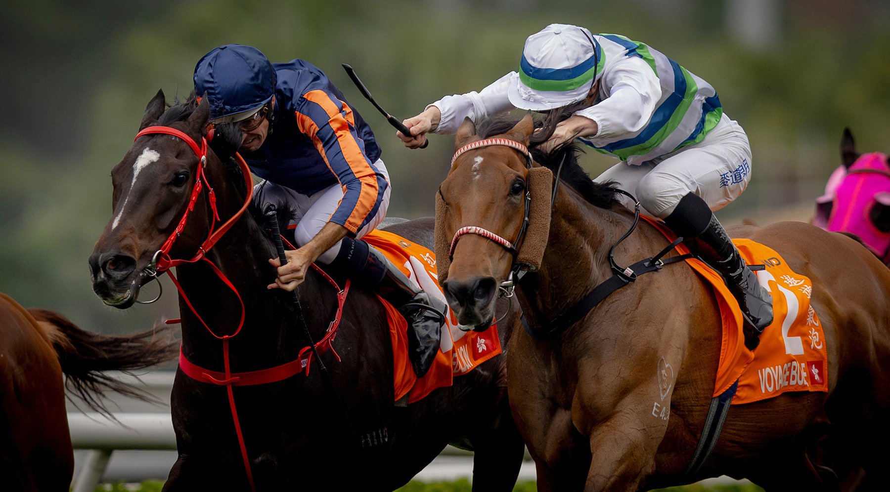 Red Lion (left) wins the Gr1 FWD Champions Mile (Pic - HKJC)