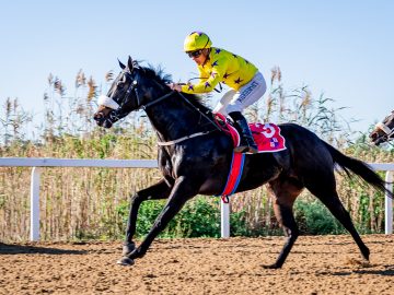 Richard Fourie breaks his own Eastern Cape record on Smashing (Pic - Pauline Herman)