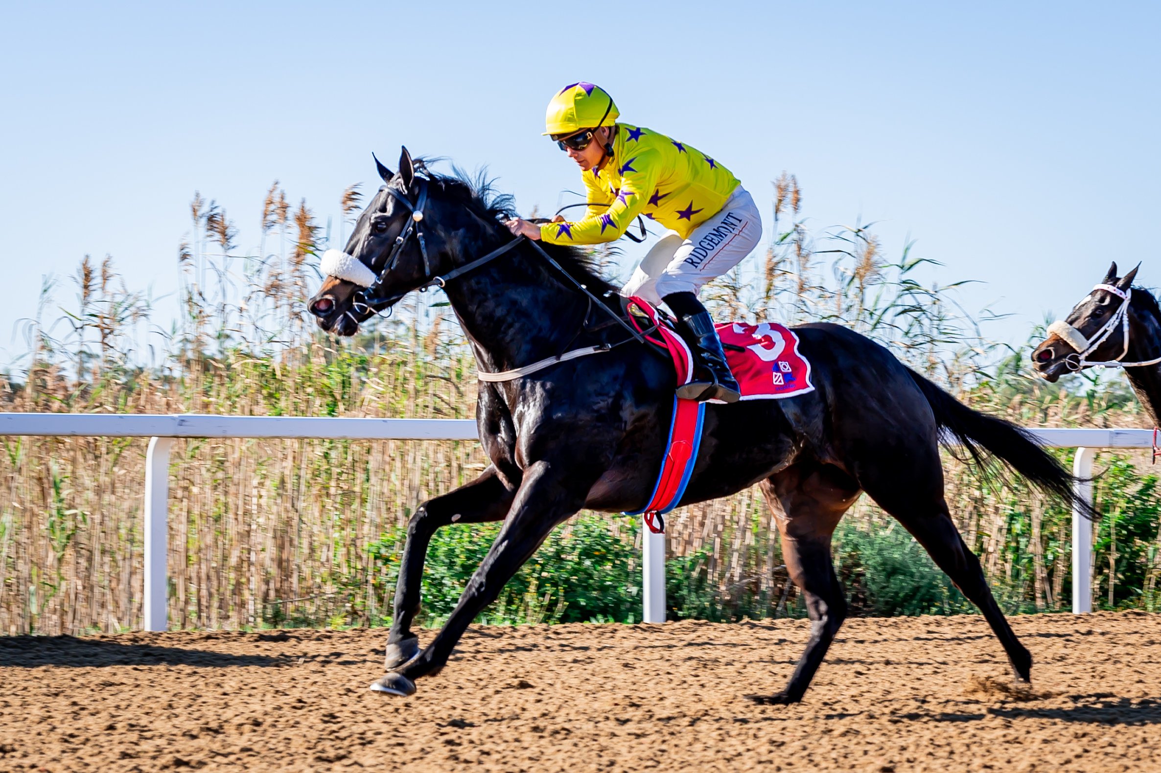 Richard Fourie breaks his own Eastern Cape record on Smashing (Pic - Pauline Herman)