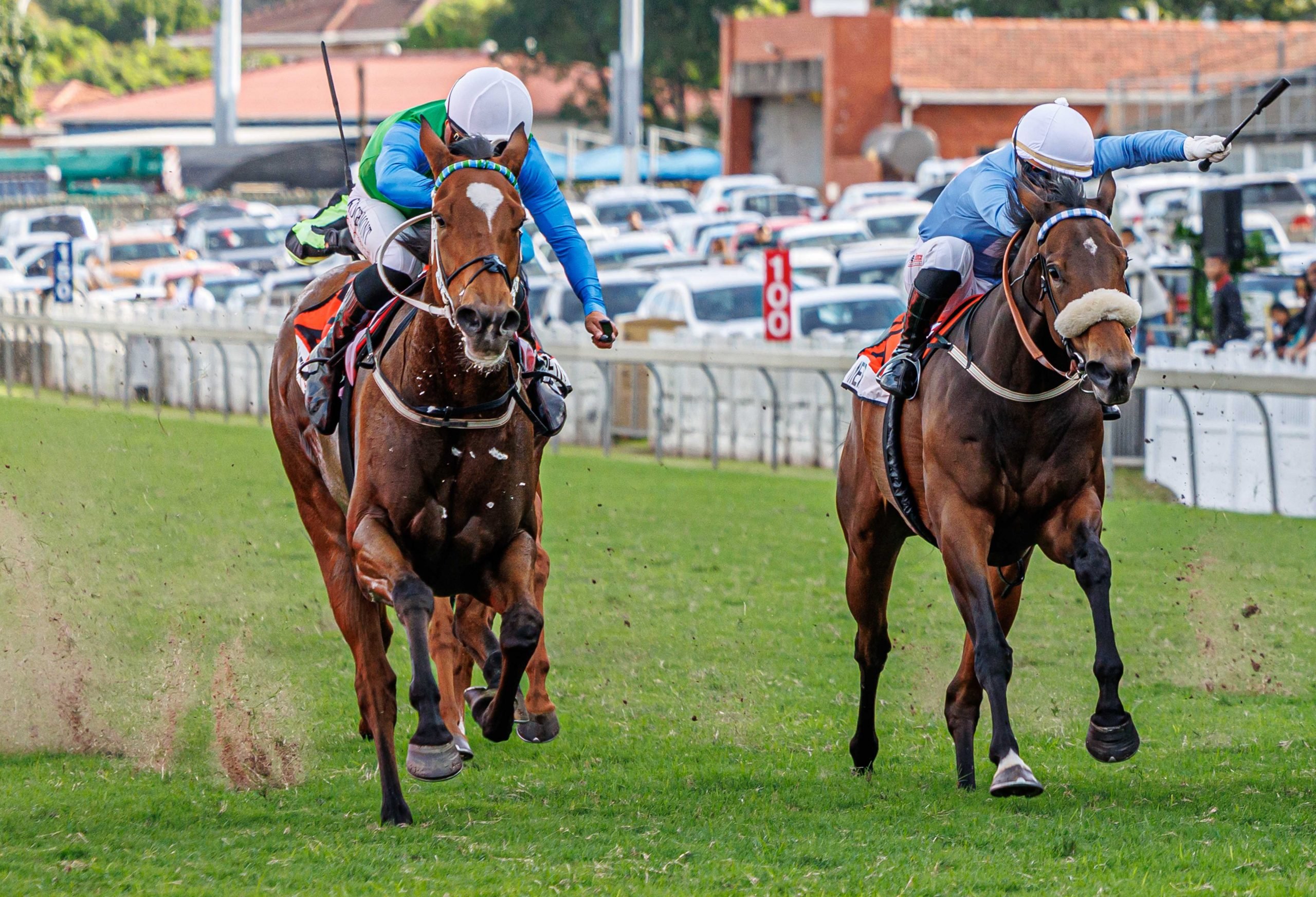 Richard Fourie drives Mon Petit Cherie to a courageous win as Be Merry (Muzi Yeni, outside) stays on well for third (Pic - Candiese Lenferna)