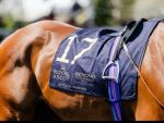 Beyond Developments Named Official Real Estate Partner of Ascot And Royal Ascot