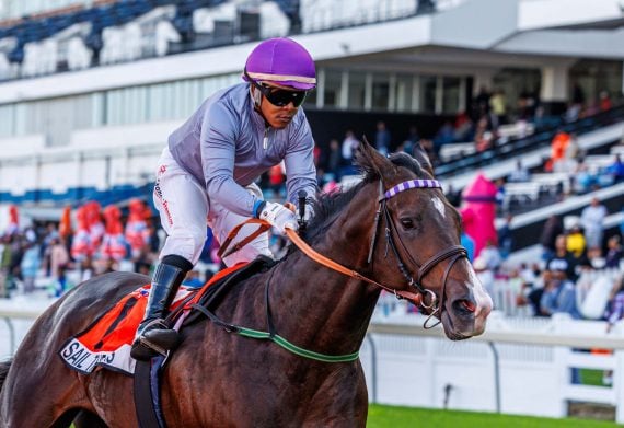 Sail The Seas' (Muzi Yeni) merit rating has been increased (Pic - Candiese Lenferna)