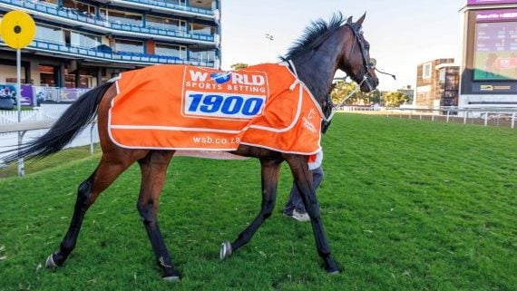 Saturday's WSB 1900 winner Selukwe came from second last to produce the fastest 400m to finish time in the race (Pic - Candiese Lenferna)
