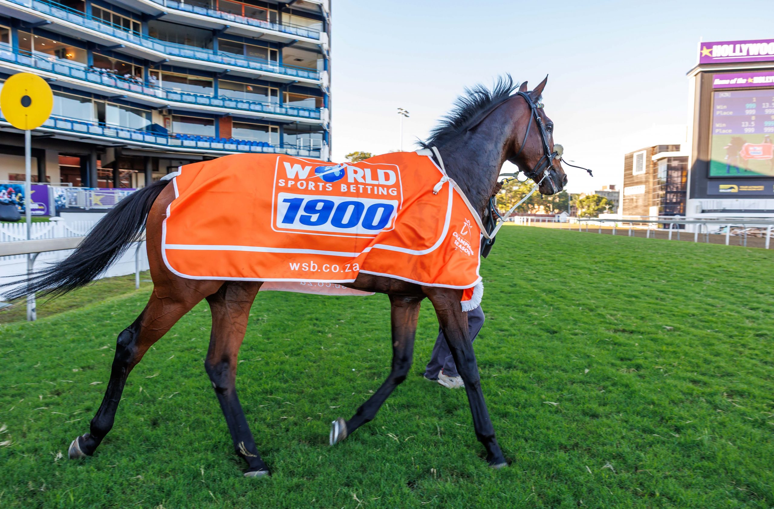 Saturday's WSB 1900 winner Selukwe came from second last to produce the fastest 400m to finish time in the race (Pic - Candiese Lenferna)