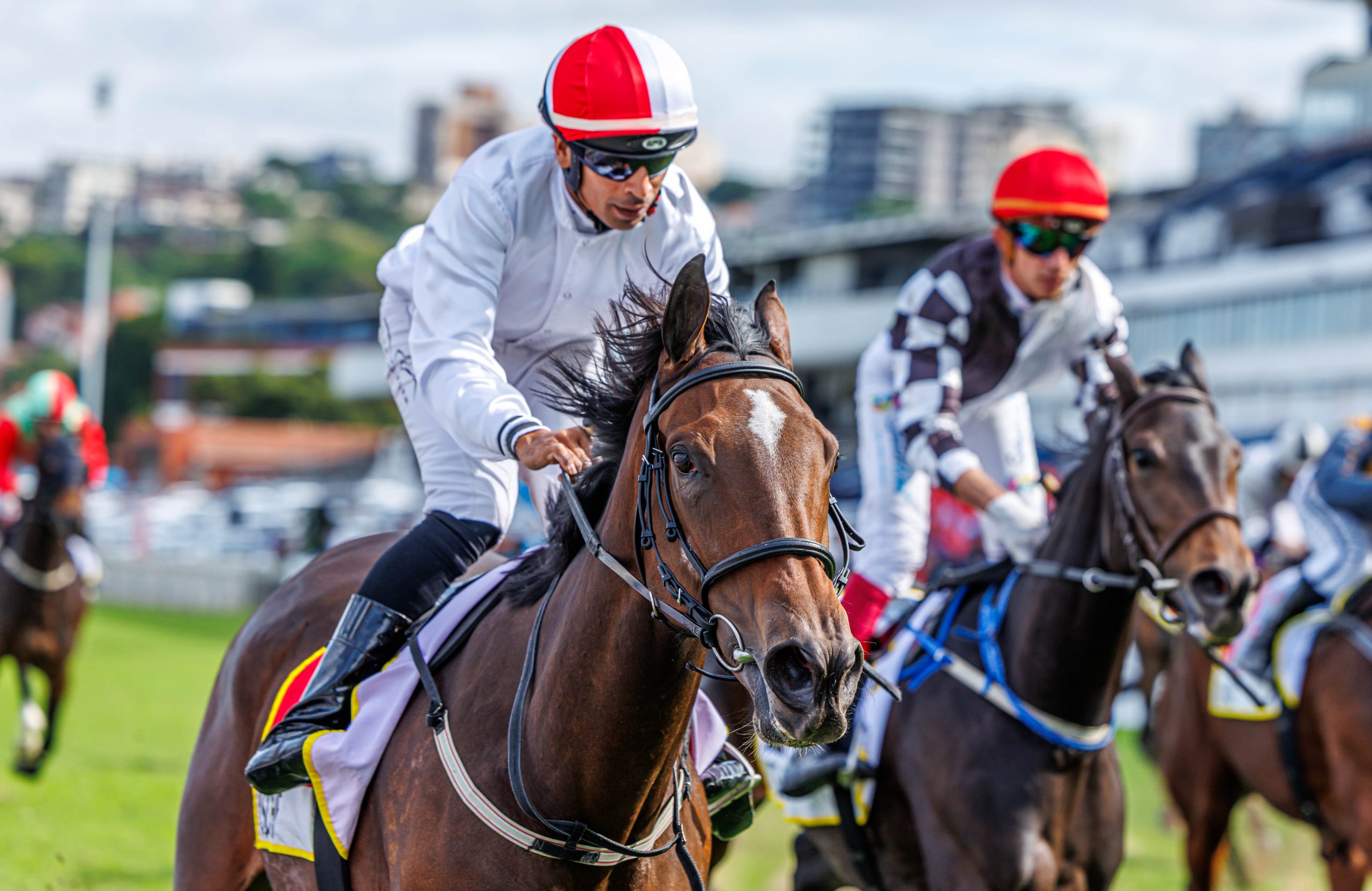Serino Moodley has Mascherina in full fly with Hat's Queen (Calvin Habib) chasing for second (Pic - Candiese Lenferna)