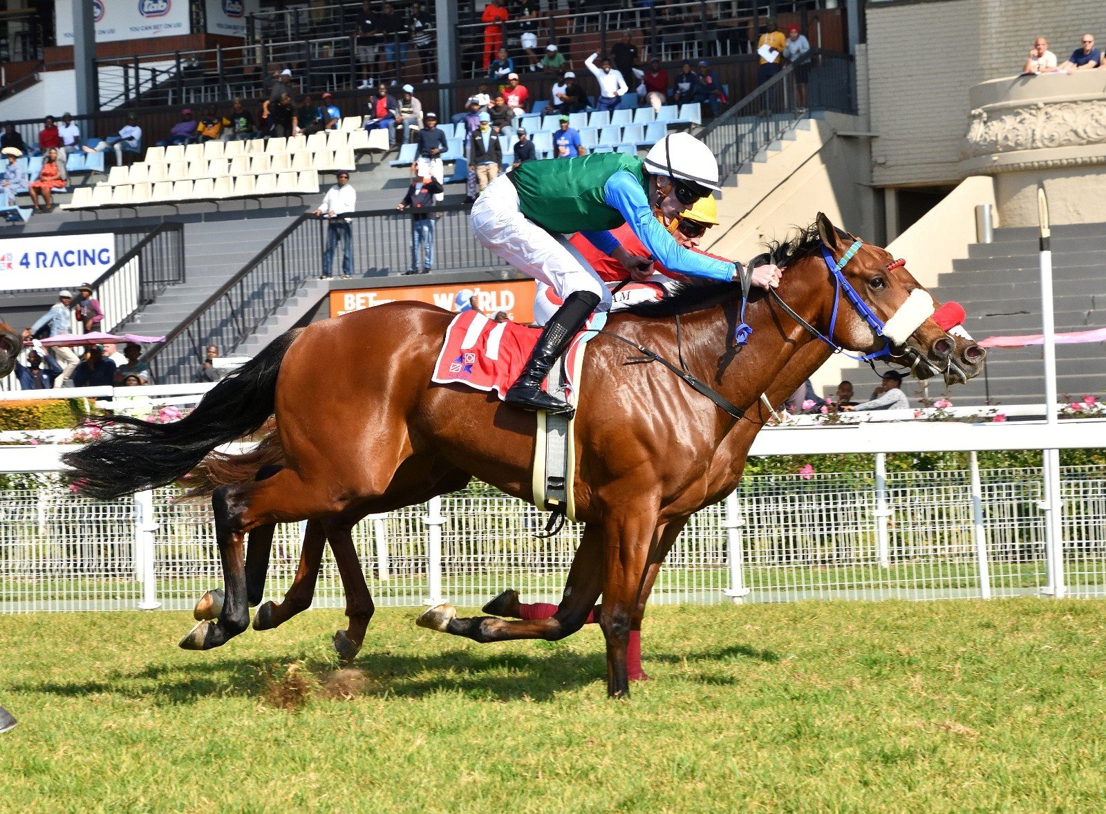 Take No Prisoners (Callan Murray) wins a cracker on debut last Saturday (Pic - JC Photos)