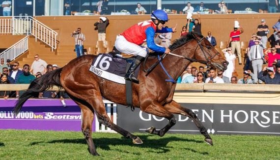 Tenango (Andrew Fortune) take the final feature on Golden Horse Sprint Raceday (Pic - Candiese Lenferna)