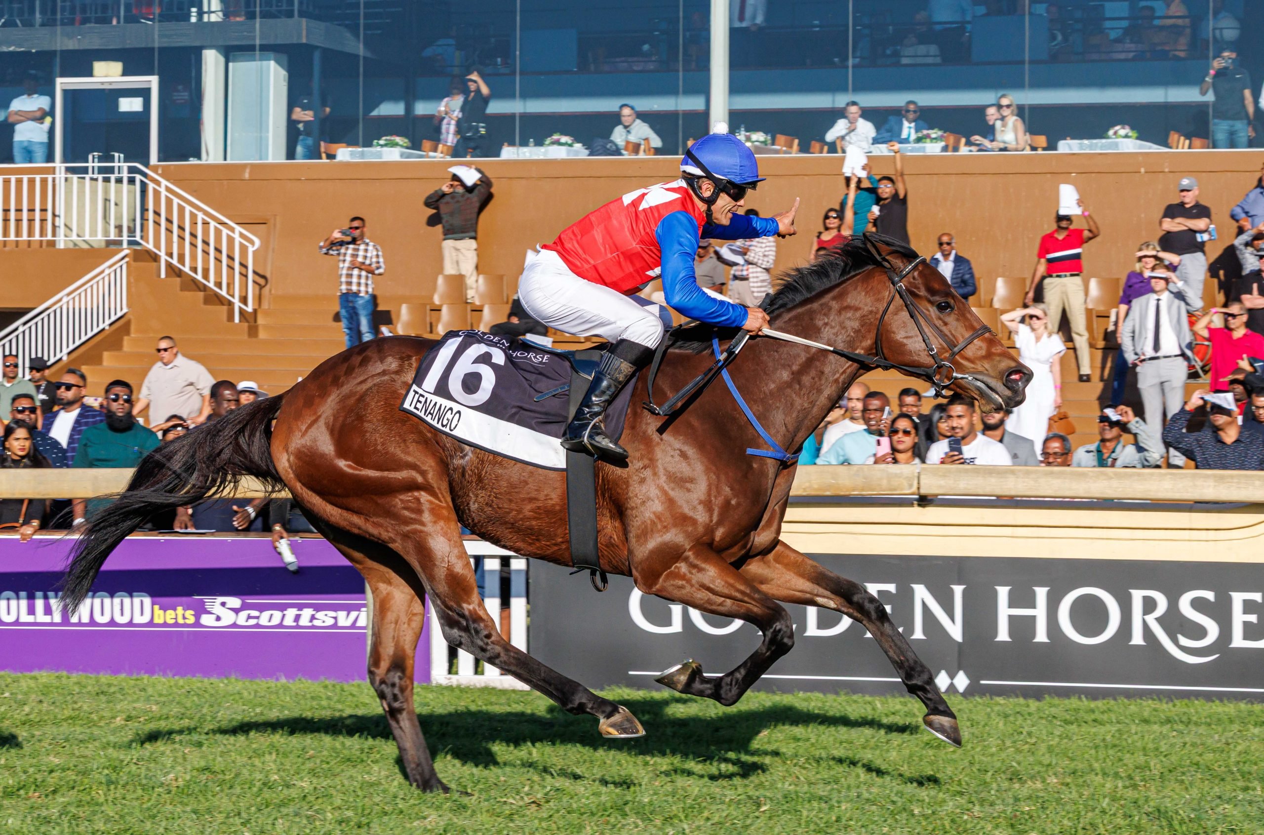Tenango (Andrew Fortune) take the final feature on Golden Horse Sprint Raceday (Pic - Candiese Lenferna)