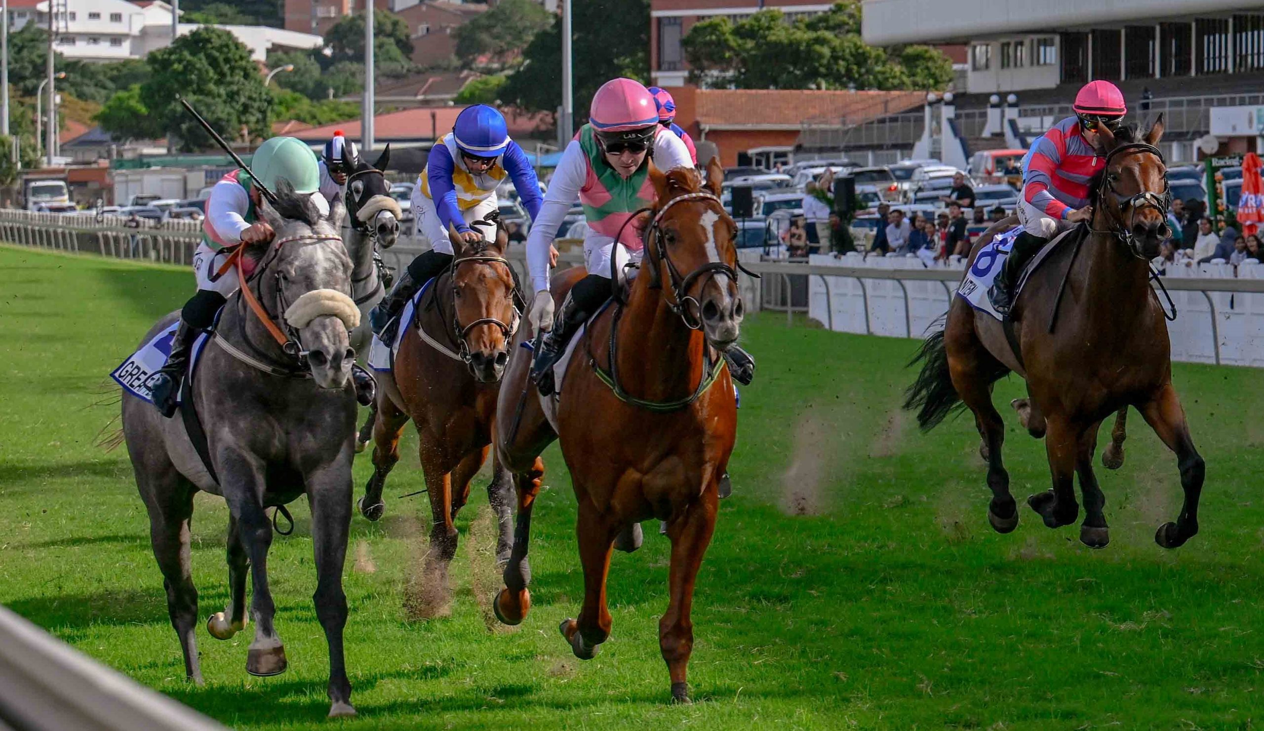 The grey 3yo Great Plains (Richard Fourie) was beaten just a quarter length by See It Again (Raymond Danielson) (Pic - Chase Liebenberg)
