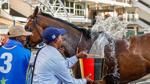 The post-race cool off (Pic for illustration purposes only by Candiese Lenferna)