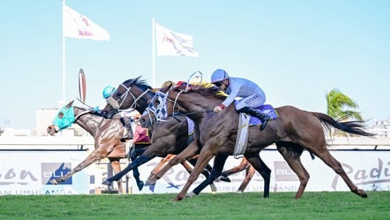 There was plenty of action on track at Hollywoodbets Greyville on Saturday (Pic - Chase Liebenberg)