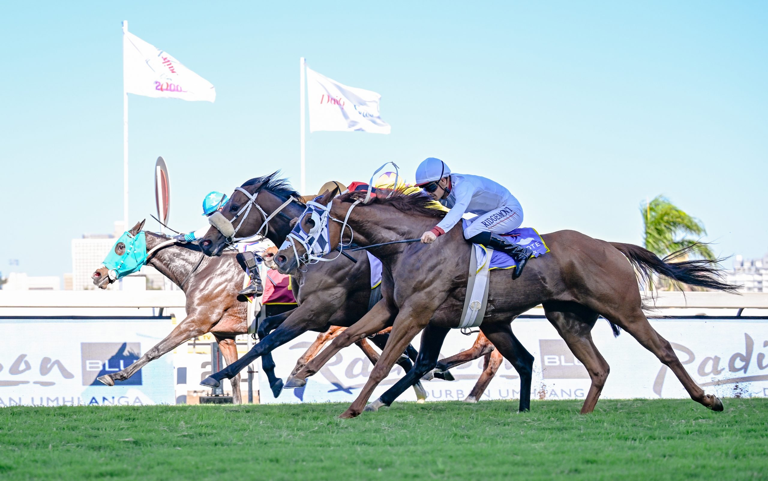 There was plenty of action on track at Hollywoodbets Greyville on Saturday (Pic - Chase Liebenberg)
