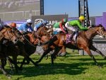 Cape Judges Erred With Ladies Mile Result