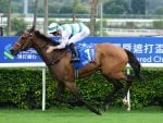 Voyage Bubble Surges Into Hong Kong Racing History