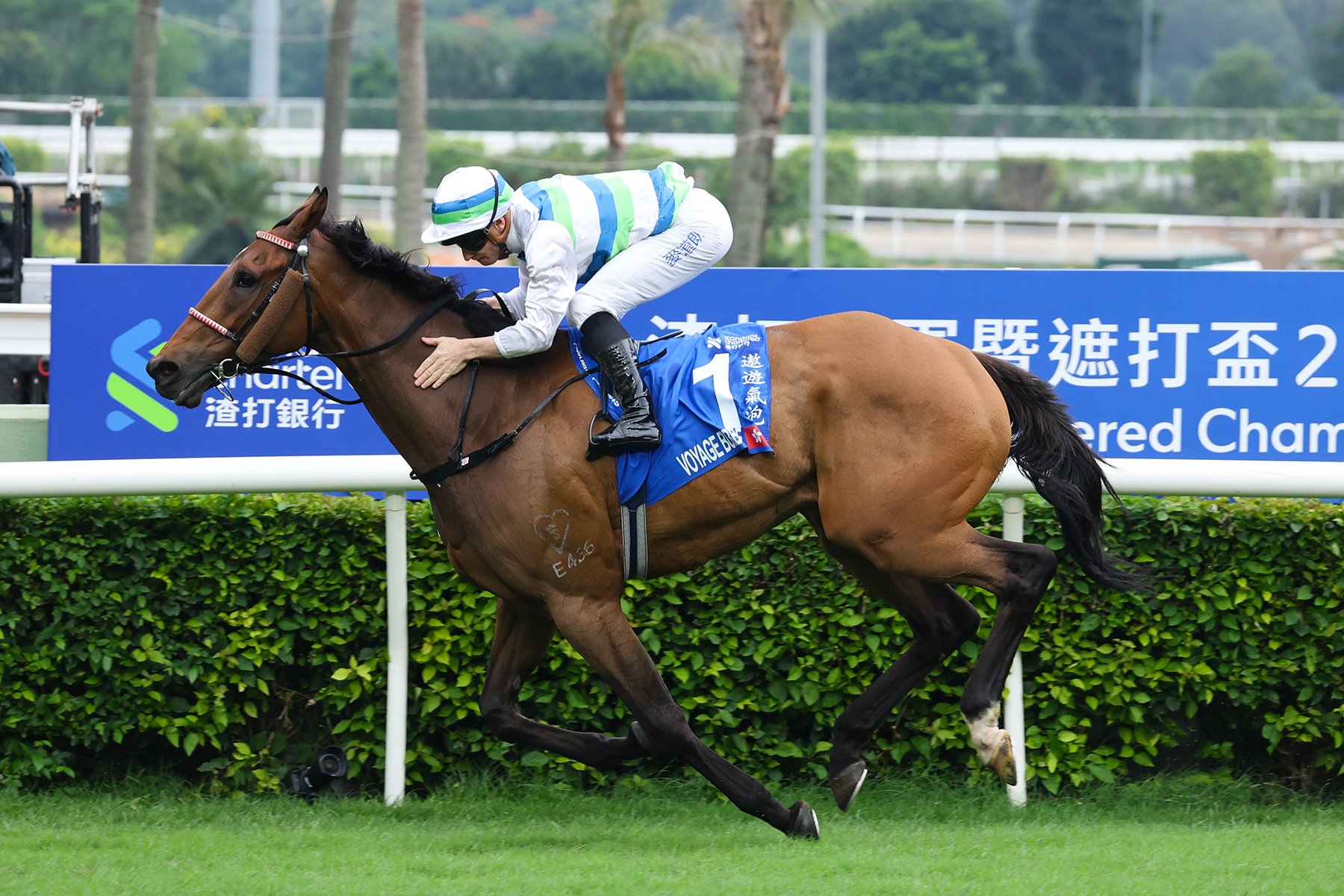 Voyage Bubble surges into history with a commanding performance (Pic - HKJC)