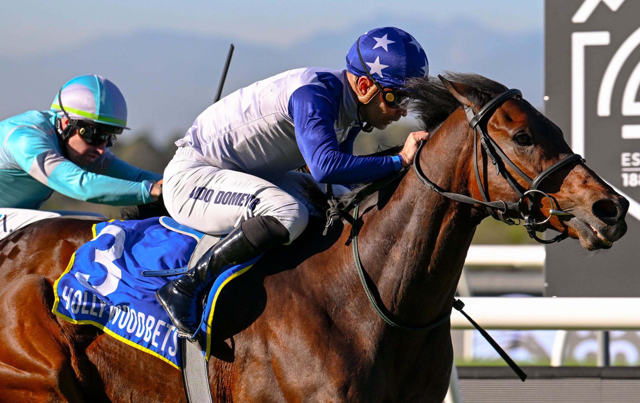 Aldo Domeyer drives 6yo Silver Mountain to his tenth victory, ahead of JP van der Merwe and fast-finishing July entry Magic Verse (Pic - Chase Liebenberg)