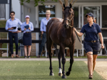 Inglis Internship Applications Open