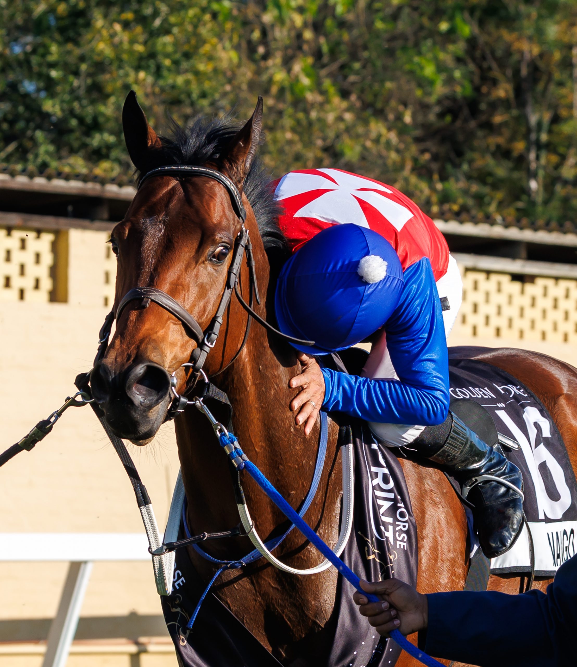 Andrew Fortune bonds with Tenango after the son of Canford Cliffs easy win in the Gr2 Golden Horse Sprint (Pic - Candiese Lenferna)