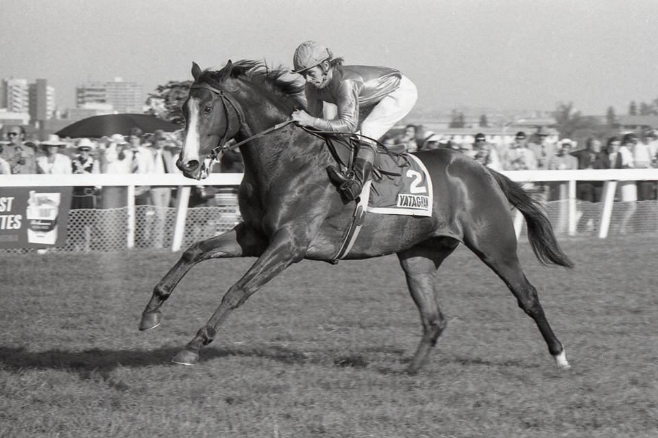 Another Durban July winner to have won the Gold Challenge - Yataghan (Pic - Supplied)