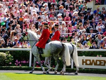 Ascot Racecourse hosts the finale of 2025 Royal Ascot today (Pic - Ascot Racecourse on FB)