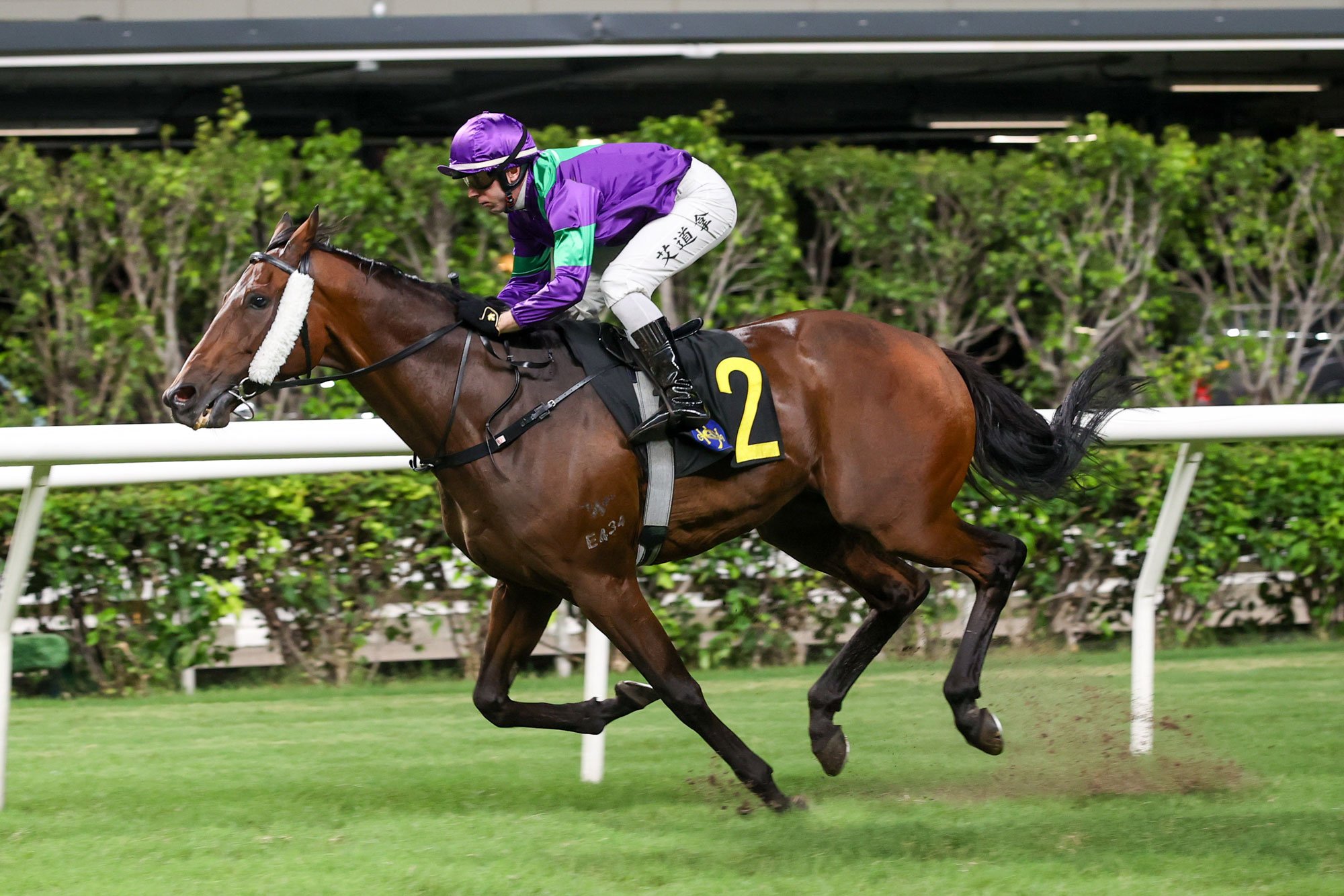 Brenton Avdulla continues his strong form aboard Never Too Soon (Pic - HKJC)