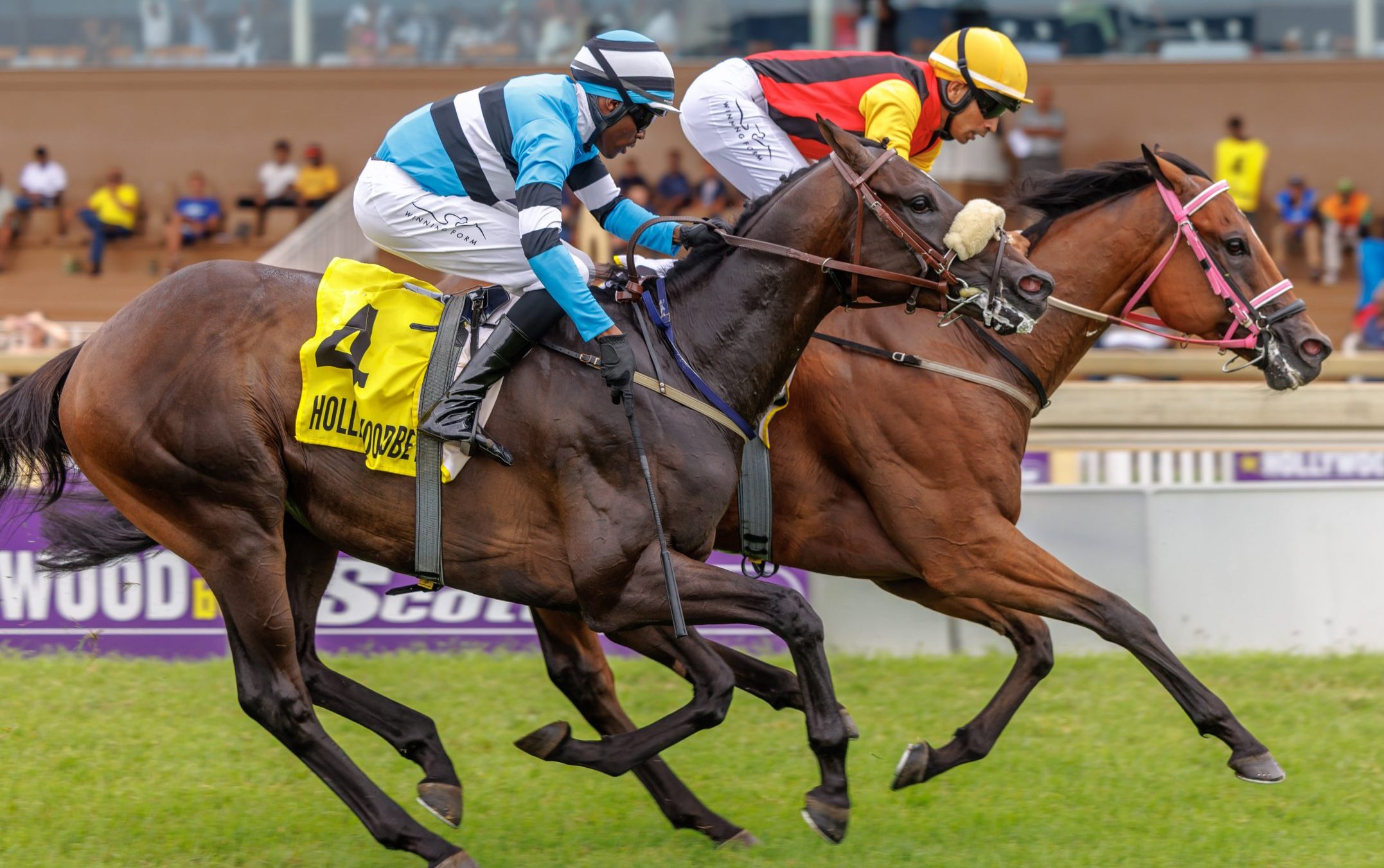 Bruce Le Roux bred African Skyline beats Field Marshal in the Fever Tree Stakes in February. African Skyline is a serious contender on Sunday (Pic - Candiese Lenferna)
