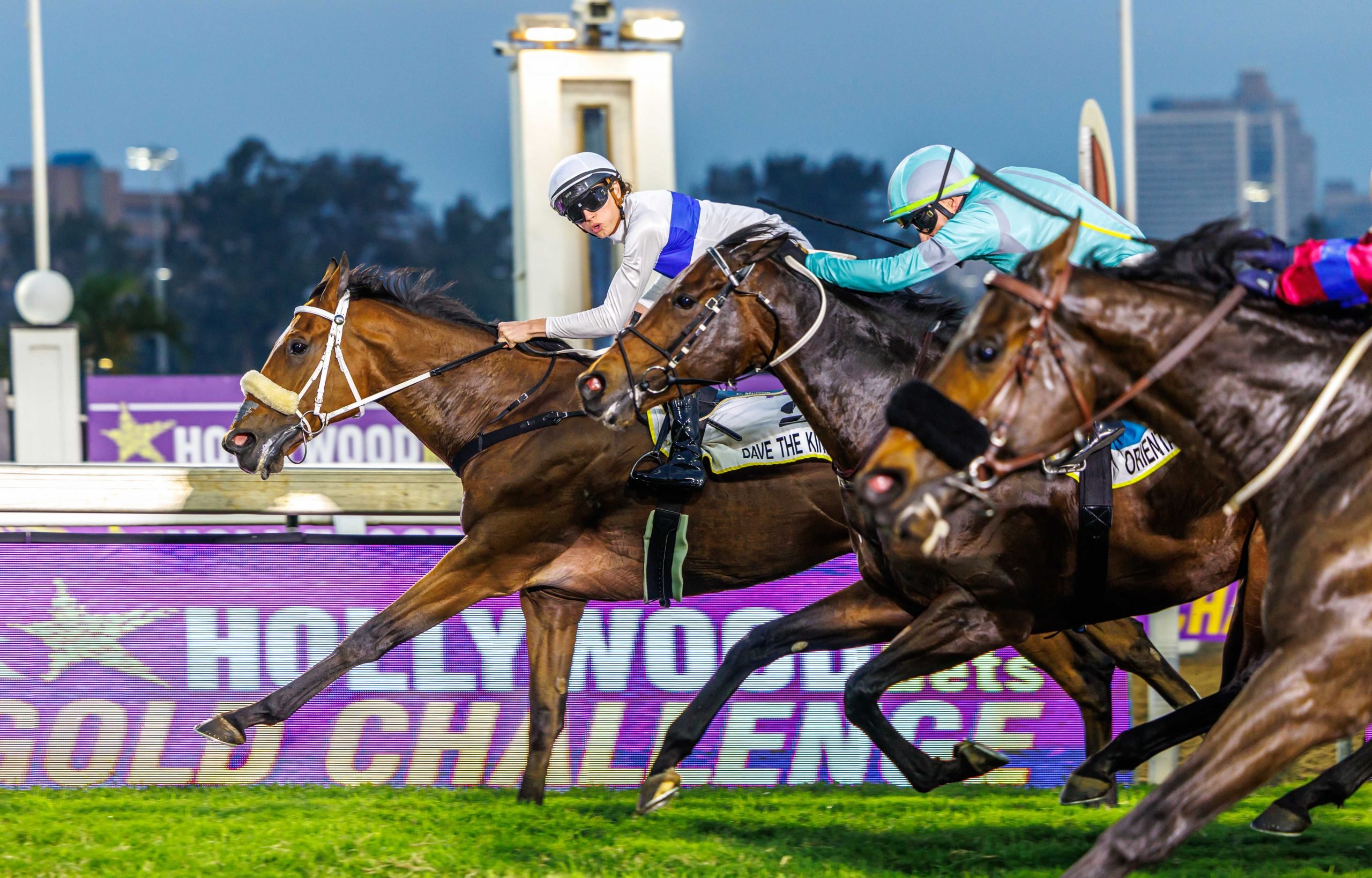 Callan Murray glances across as Dave The King beats Oriental Charm (JP van der Merwe), with Gladatorian’s head in the frame (Pic - Candiese Lenferna)