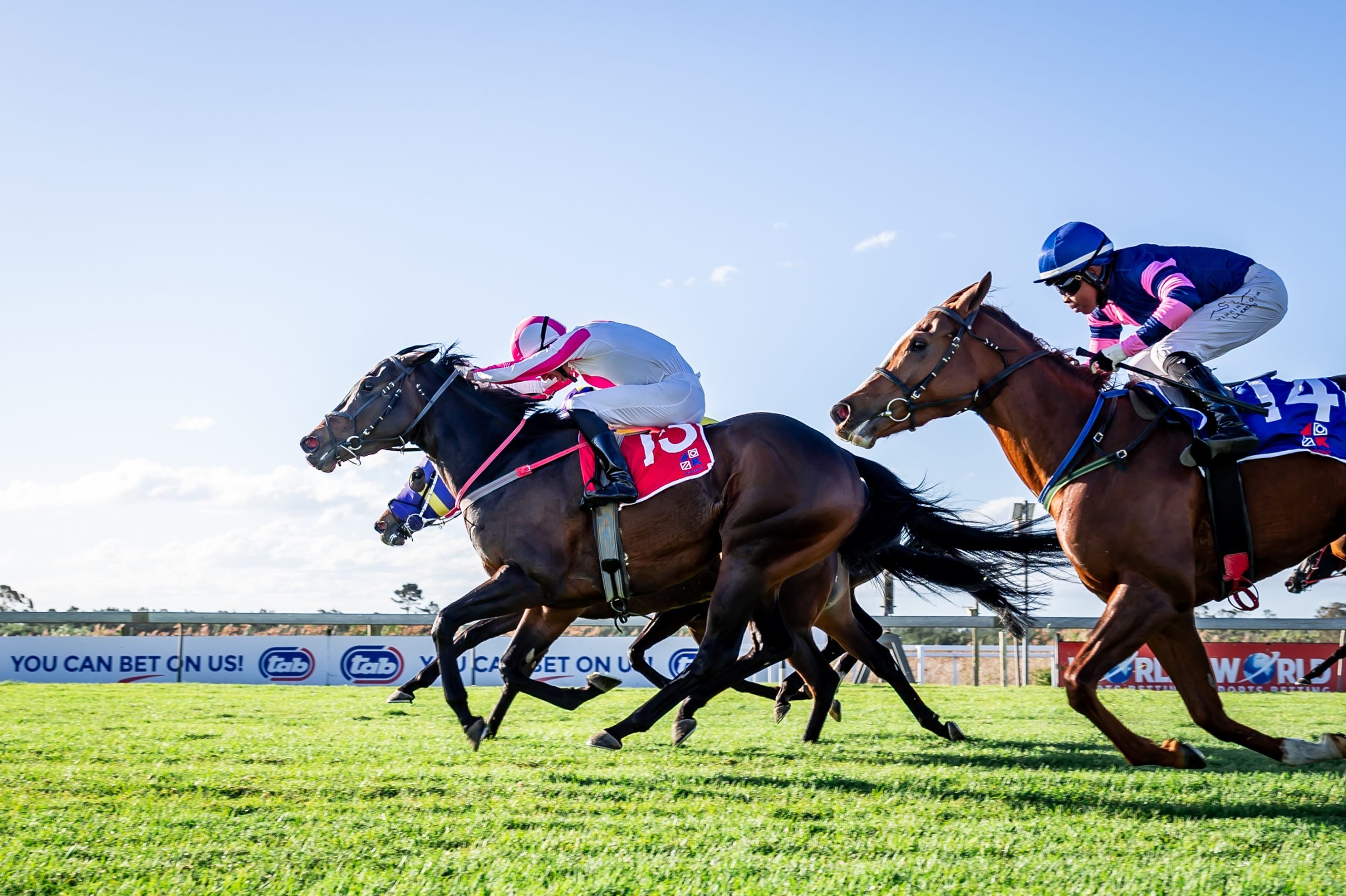 Chad Little gets low as Sweetie Darling gets ahead of Montelena under Muzi Yeni (Pic - Pauline Herman)