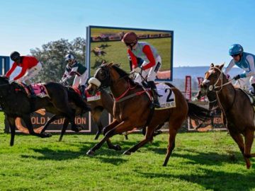 Chase Liebenberg caught the nailbiting action at Hollywoodbets Scottsville last Saturday