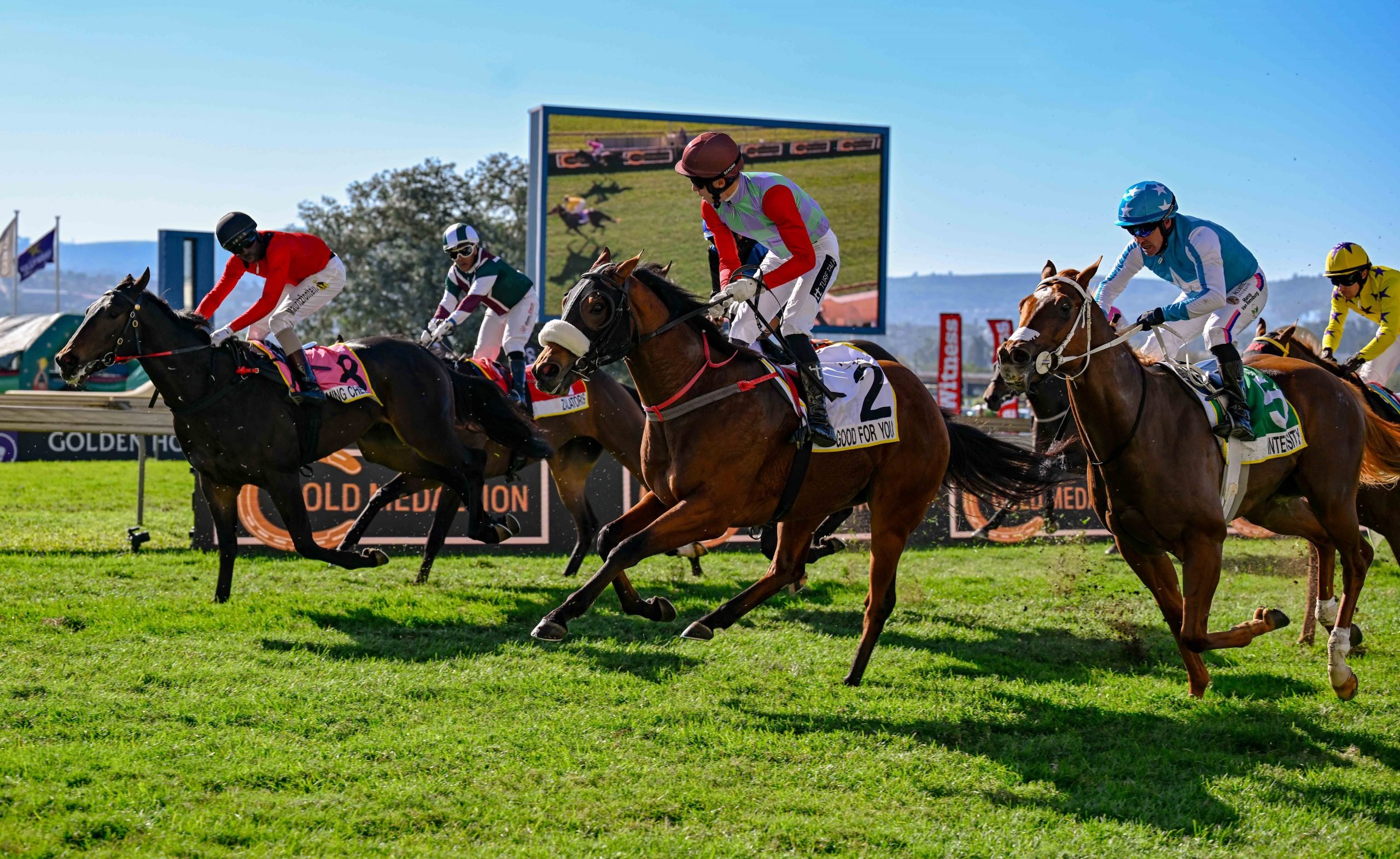 Chase Liebenberg caught the nailbiting action at Hollywoodbets Scottsville last Saturday