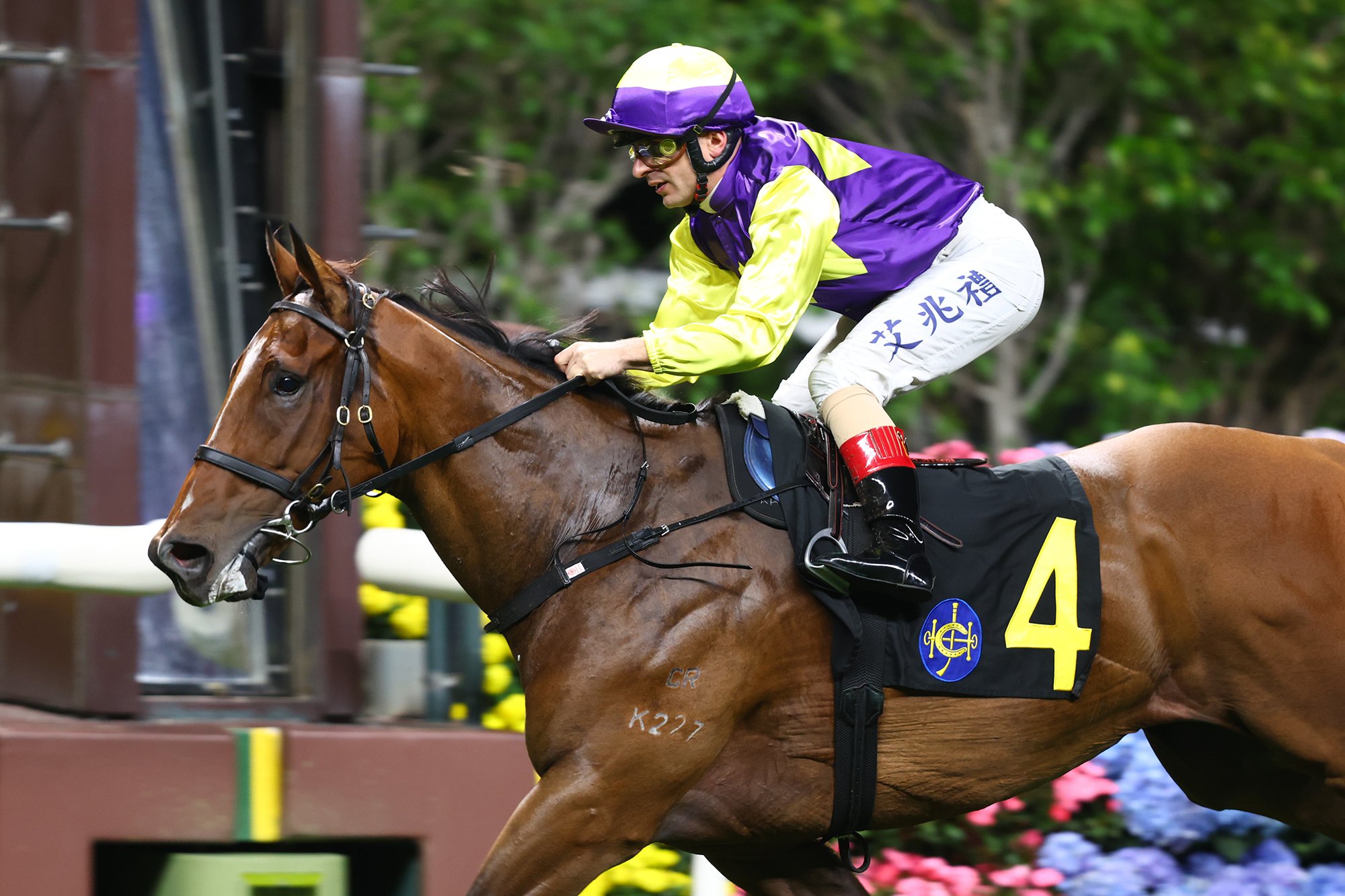 Colourful King has won twice at Happy Valley (Pic - HKJC)
