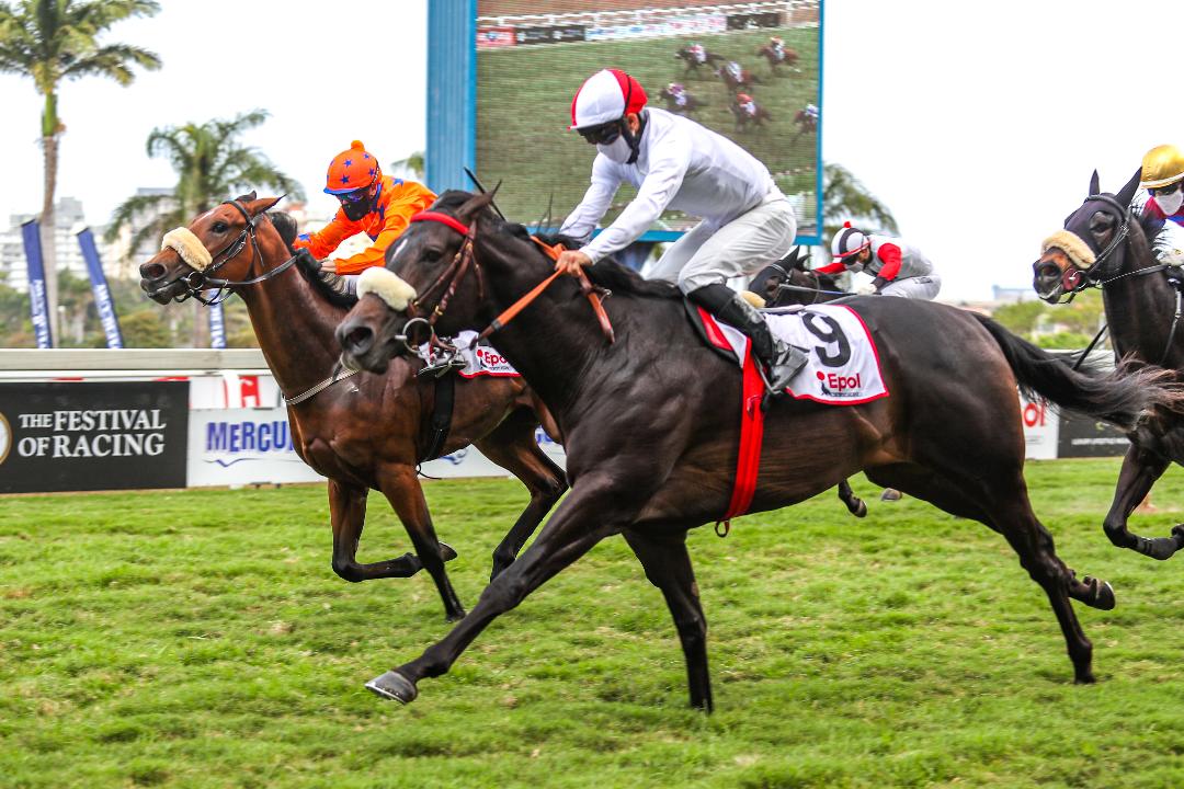 Erik The Red in race action (Pic - Candiese Lenferna)