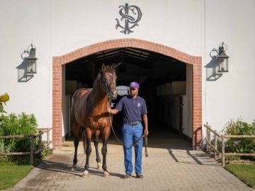 Expert Eye at the entrance to the Paardeberg stallion barn (Pic - Romi Bettison)