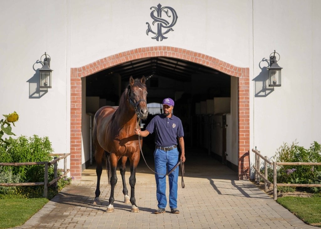 Expert Eye at the entrance to the Paardeberg stallion barn (Pic - Romi Bettison)