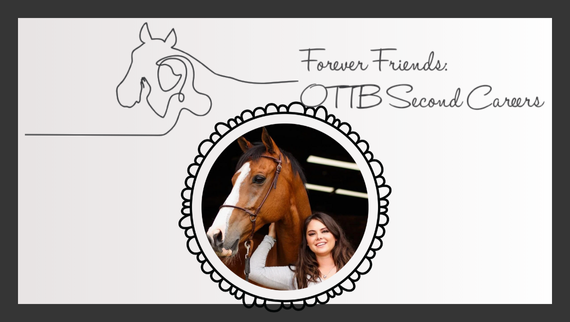 Forever Friends – The Bond Strengthens Every Day!