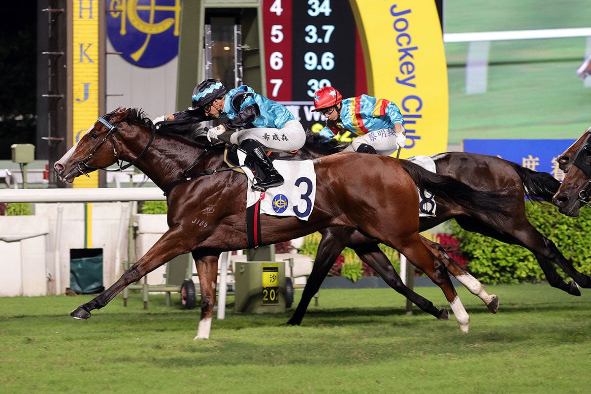 Full Credit will resume for Mark Newnham (Pic - HKJC)