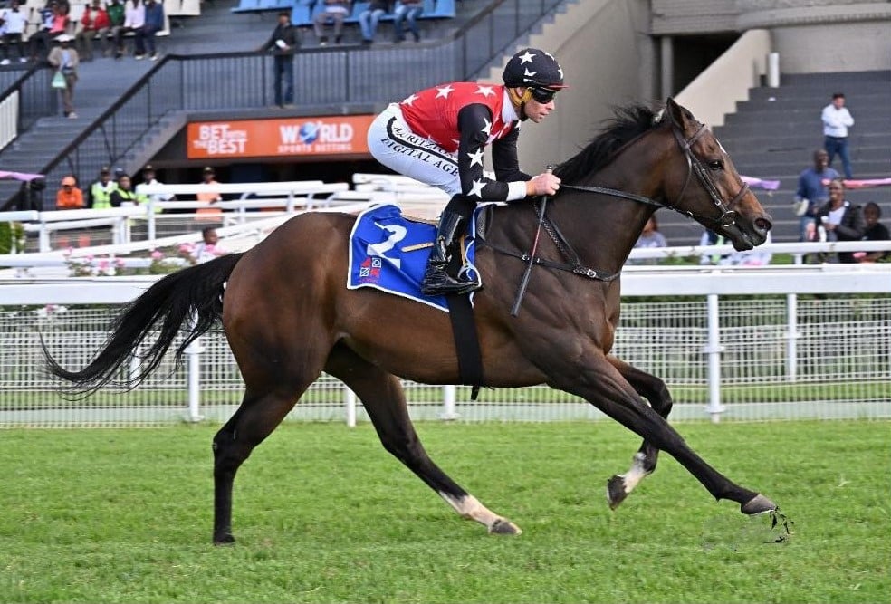 Gavin Lerena and Buffalo Storm Cody bid for a hat-trick (Pic - JC Photos)