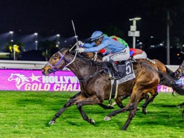 Green Sapphire (Smanga Khumalo) ran a top-class race under the dazzling new lights at Hollywoodbets Greyville (Pic - Candiese Lenferna)