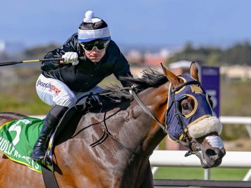 Holding Thumbs can return to form and stake his claims to a July berth on Saturday (Pic - Chase Liebenberg)